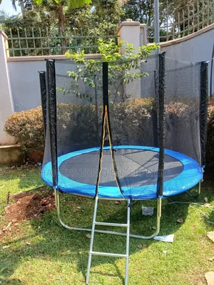 Trampoline With a Safety Enclosure Net and Access Ladder.