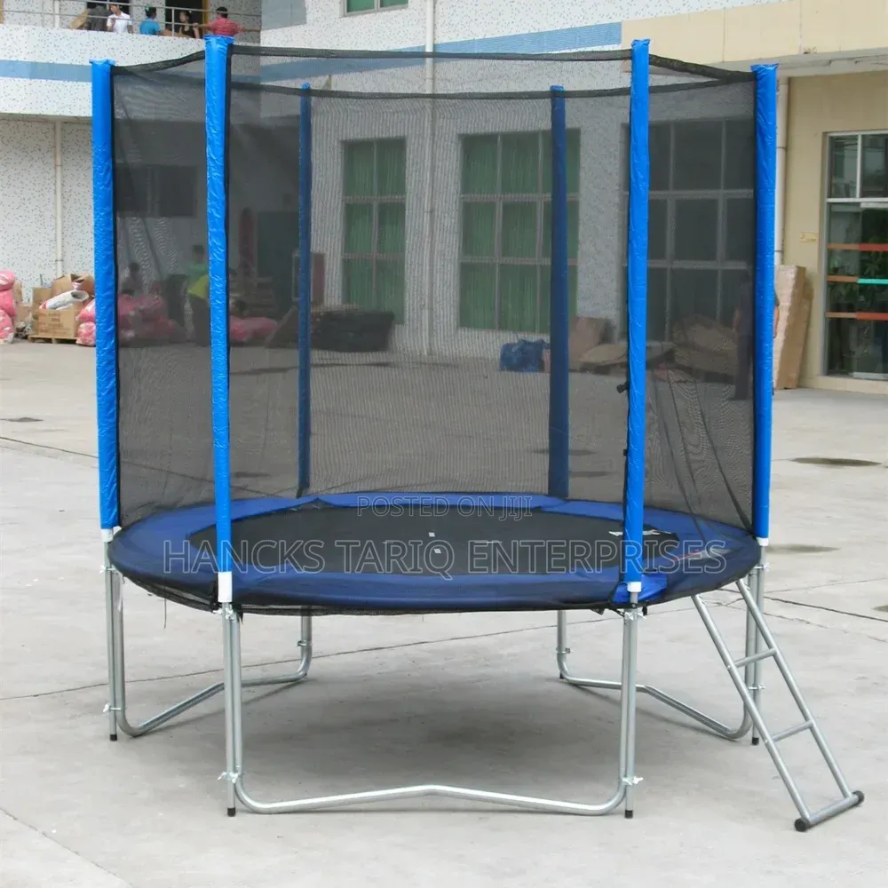 Trampoline With a Safety Enclosure Net and Access Ladder.