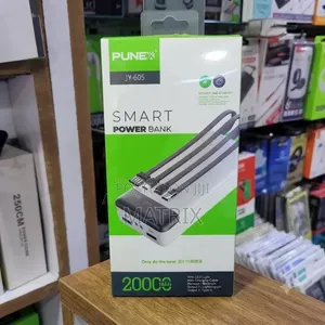 Punex Smart Power Bank