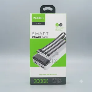 Punex Smart Power Bank