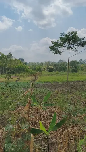 Land for Sale – Nazigo, Kayunga–jinja Road