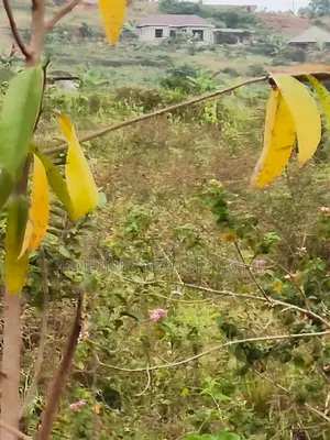 Land for Sale – Namugongo, Nkonzi Estate