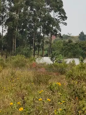 Quick Sale – Prime Plots for Sale, Mbalala