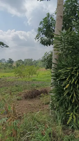 Farmland for Sale – Nyakisharara, Mbarara–ibanda Road