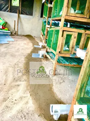 Rabbit Cages