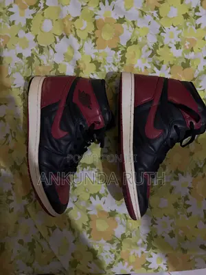Jordan 1 Breds