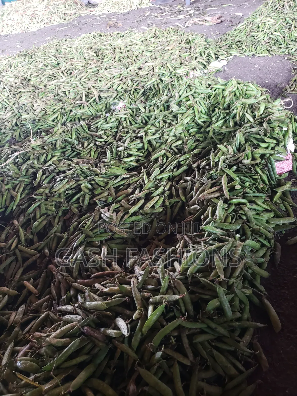 Fresh Cow Peas