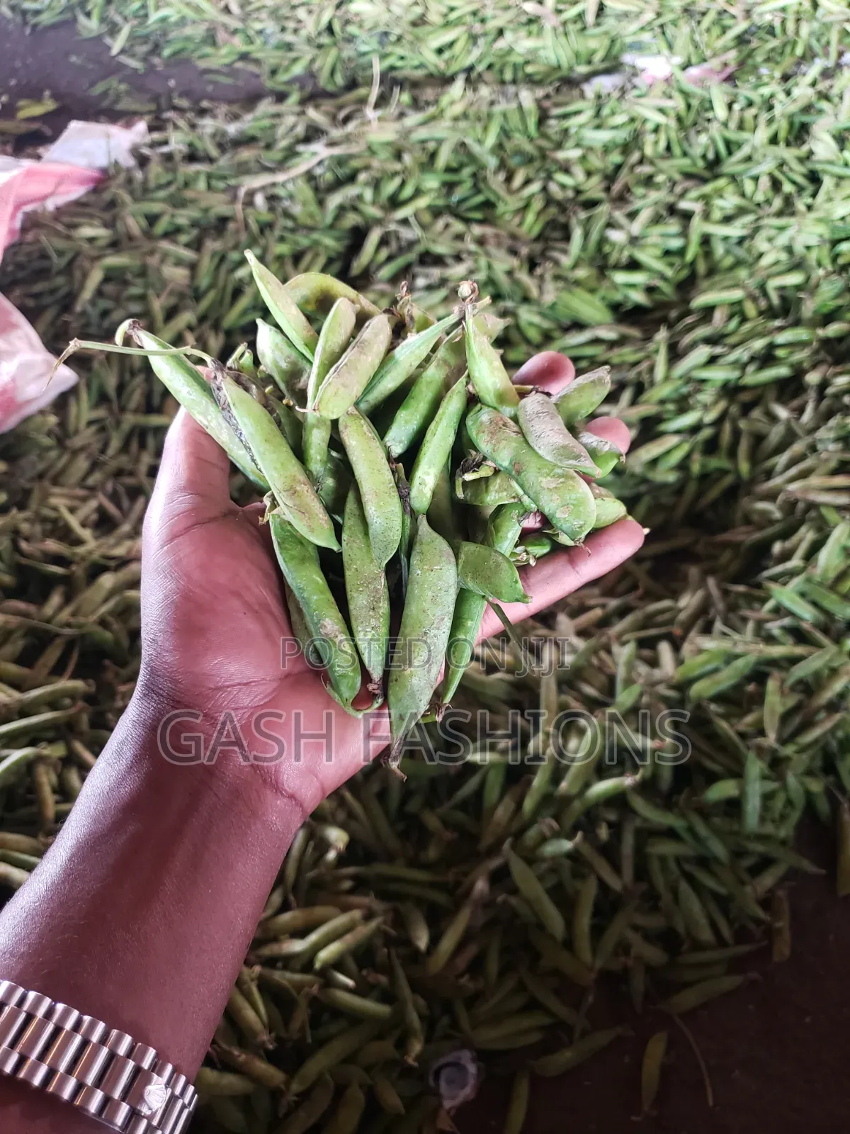 Fresh Cow Peas