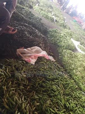Fresh Cow Peas