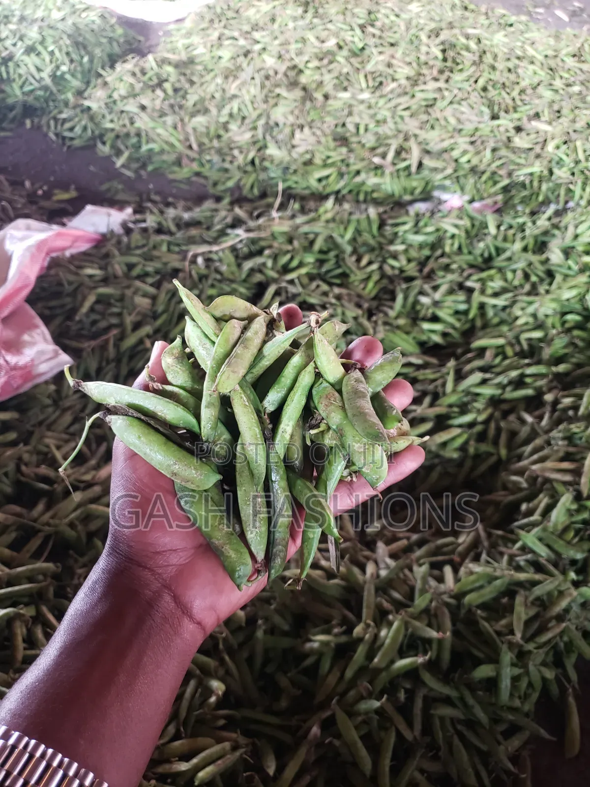 Fresh Cow Peas