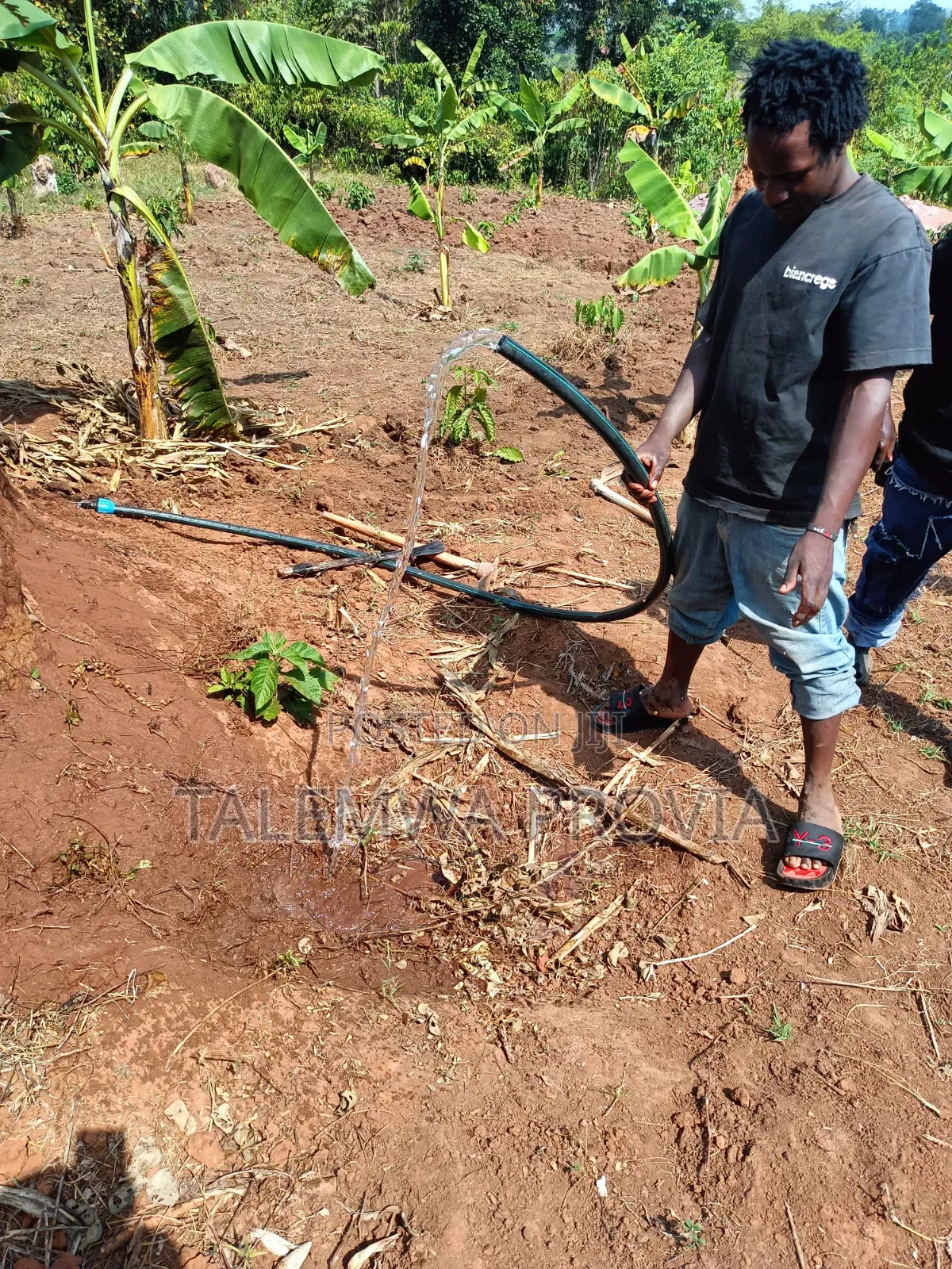 Pumping Water Using Solar System