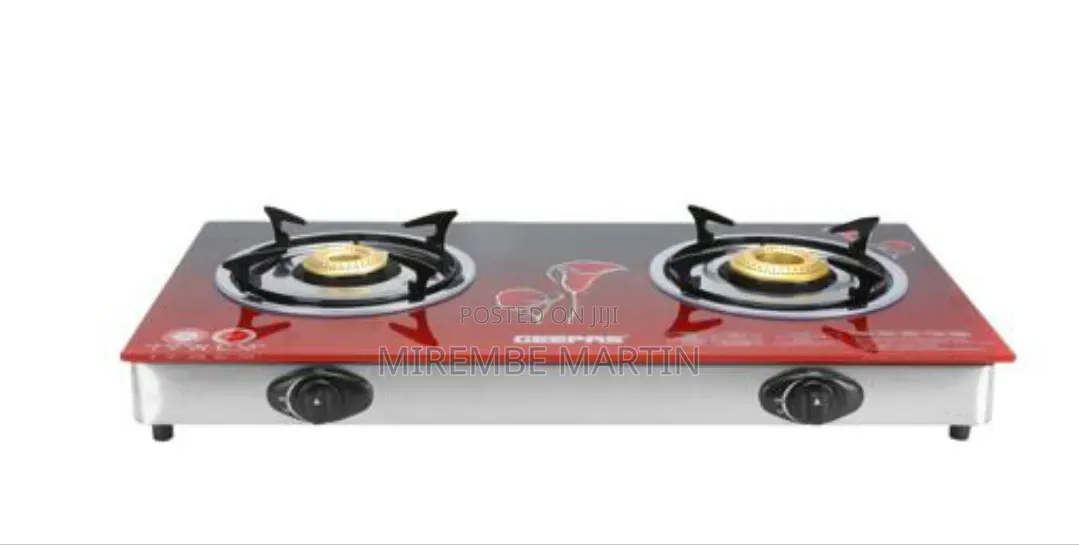 Stainless Steel Gas Stove