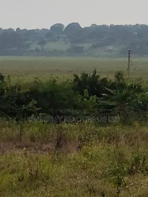 Land for Sale – Wakiso Nampunge Extension Estate