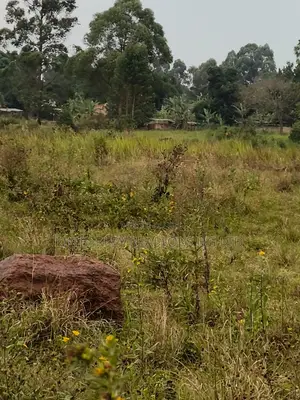 Farmland for Sale – Bugoma Kitwe, Bugerere