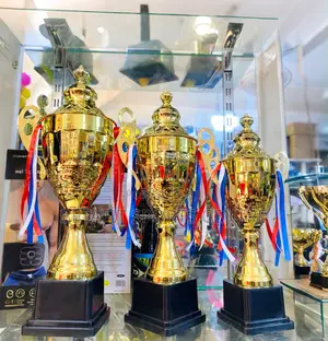 Gold Champion (Trophy Cup)