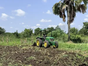 Fertile Farmland for Sale in Lamwo