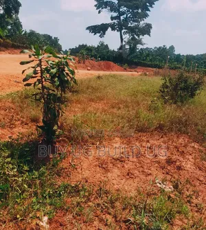 50ft by 100 Ft for Sale in Busiika- Kalagara at 18m