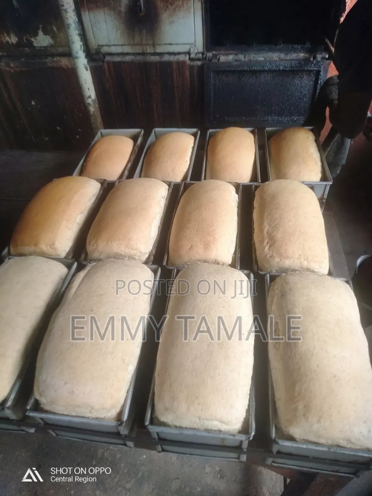 Bakery Masters