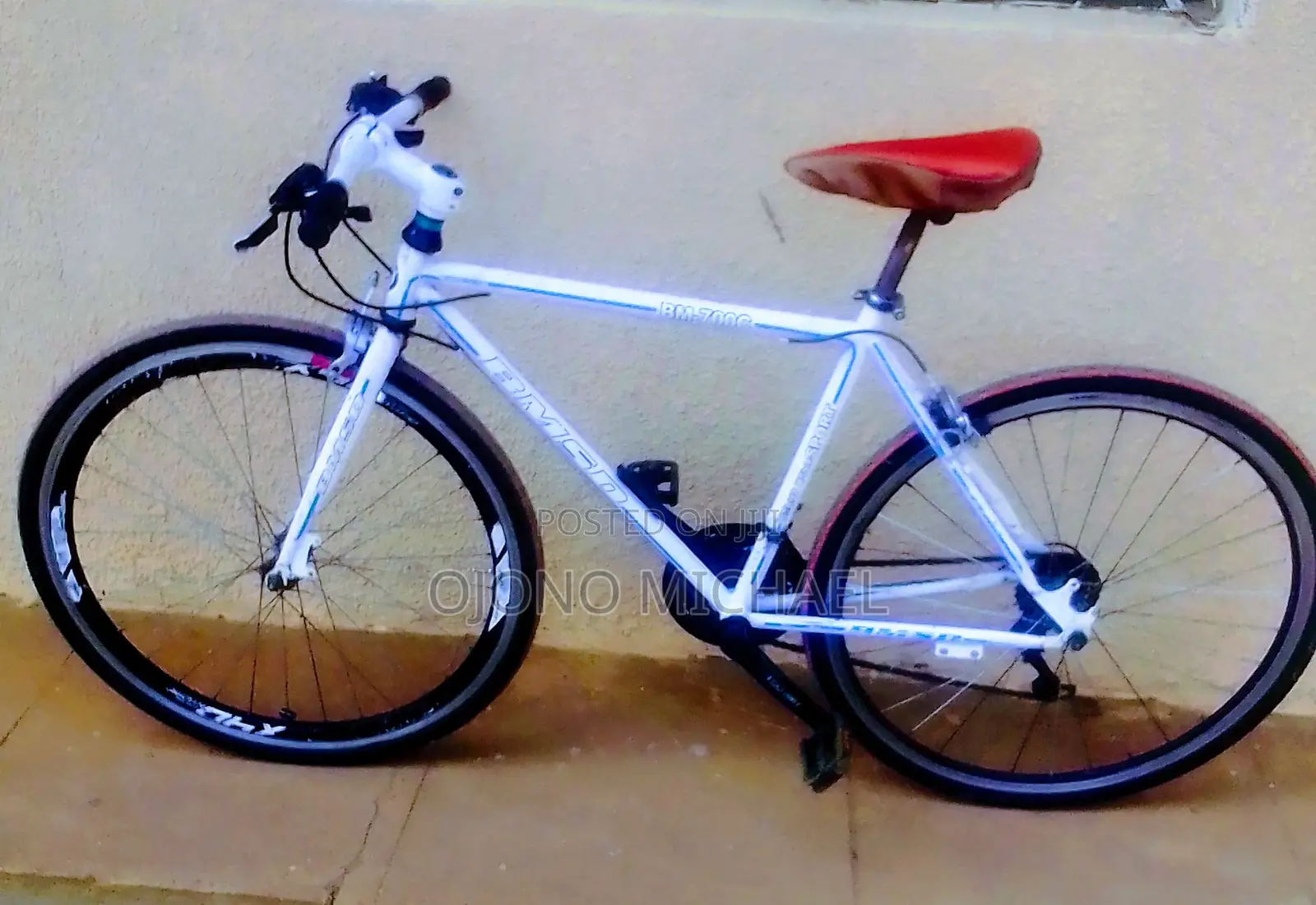 Mountain Bike/