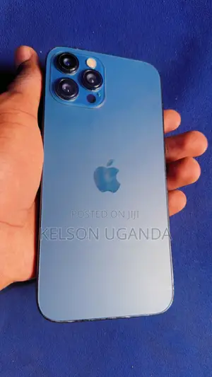 Apple iPhone 12 Pro Max 256 GB Blue