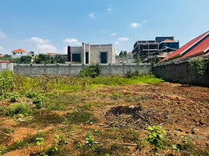 Kira Shimon Estate
