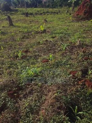 30 Acres for Sale by Owner in Nkokonjeru 1km Off Jinja Express Highway