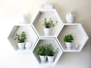 Modern Flower Shelves Call Us On