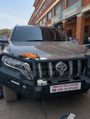 Denis Car Tints and Stickers