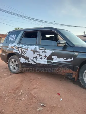 Denis Car Tints and Stickers