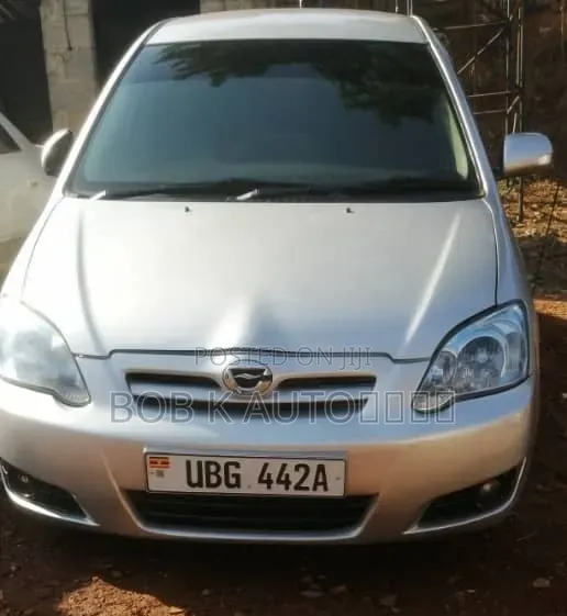 Toyota Corolla RunX 2006 Silver