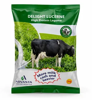 Alfa Alfa Lucerne High Protein Grass Pasture Seeds 1kg