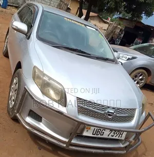 Toyota Corolla Fielder 2009 Silver