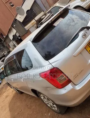 Toyota Corolla Fielder 2009 Silver