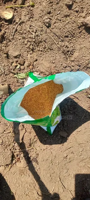 Alfalfa Seeds