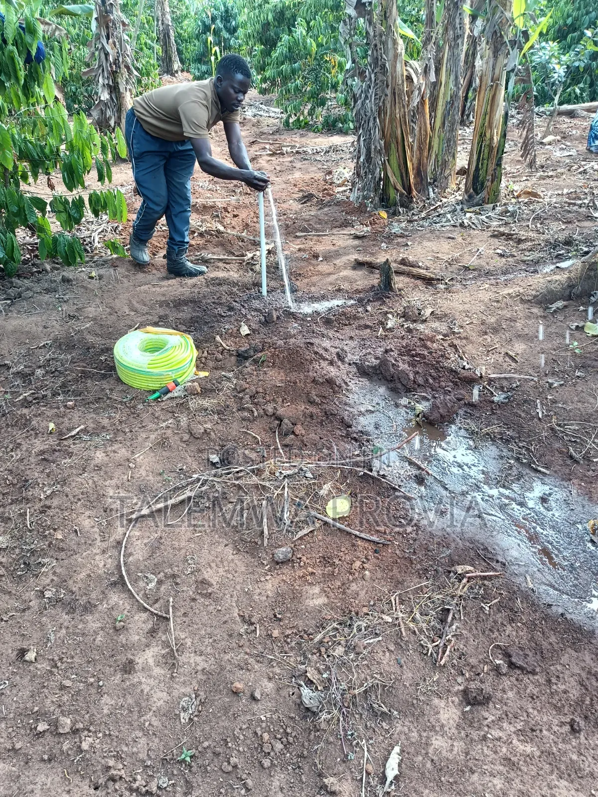 Water Supply/ Connection