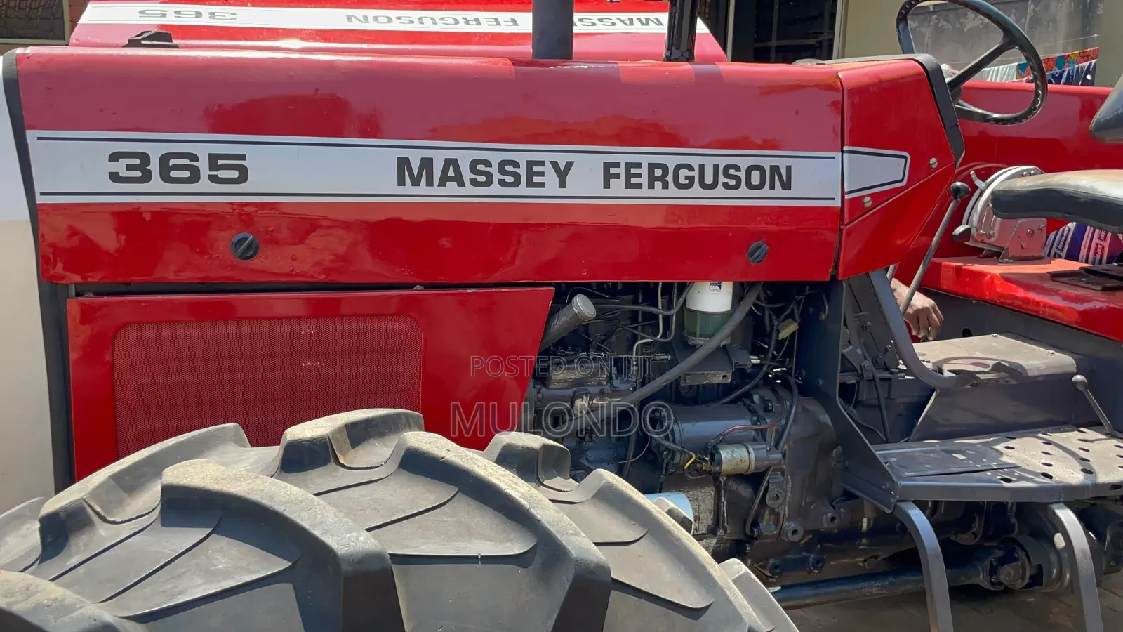 Mercy Ferguson