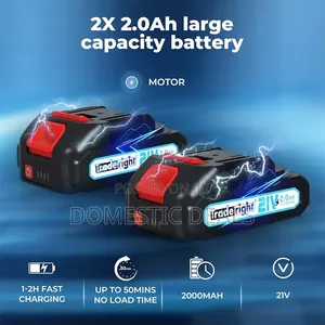 Cordless Car Polisher, 2 * 21V 2.0Ah Rechargeable Batterie