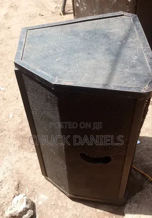 15 Inch Top Speaker