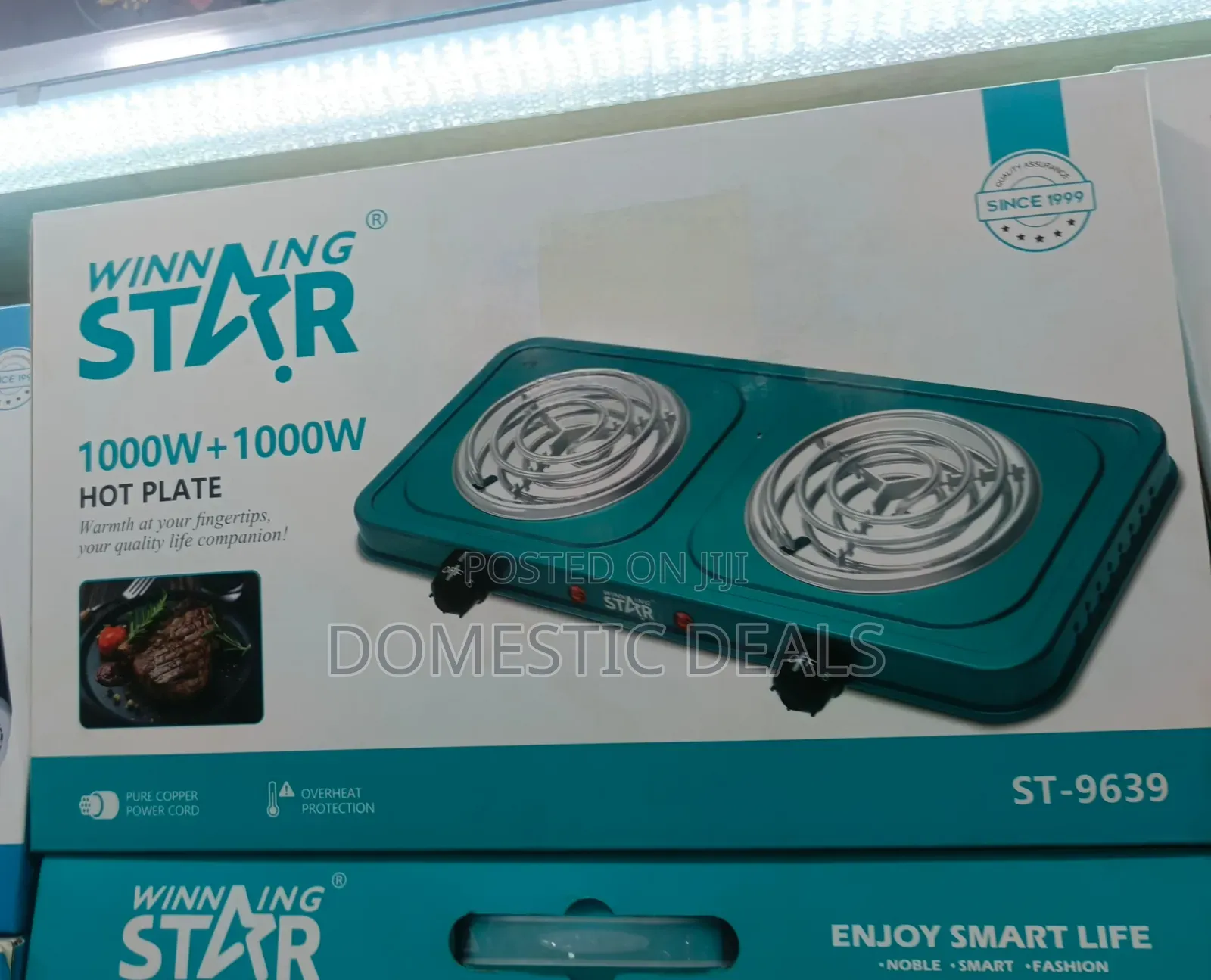 Double Burner Electric Hot Plate