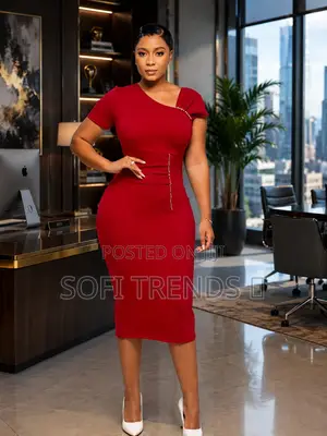 Ladies Classic Office Dresses