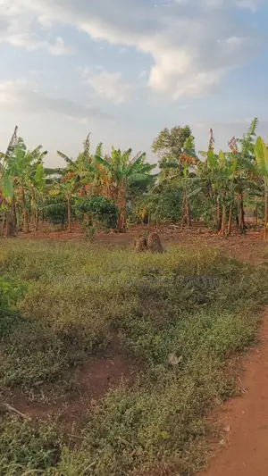 Land for Sale – Gayaza–kalagi Road, Namalili