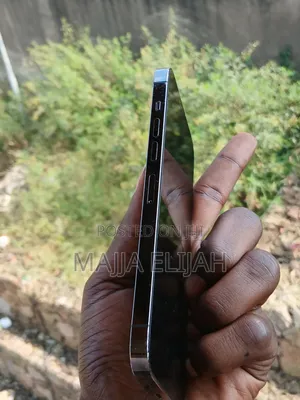 Apple iPhone 13 Pro Max 256 GB Gray