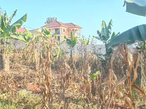 Hot Deal Plot for Sale at Seeta_Bajjo (50ft*100ft) 57M UGX