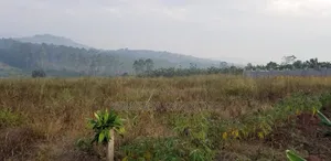 50 X 100FT Titled Plot for Sale in Bulamu