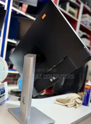 Dell 24 Inch Screen IPs