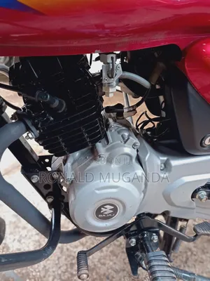 Bajaj CT 125X 2025 Red