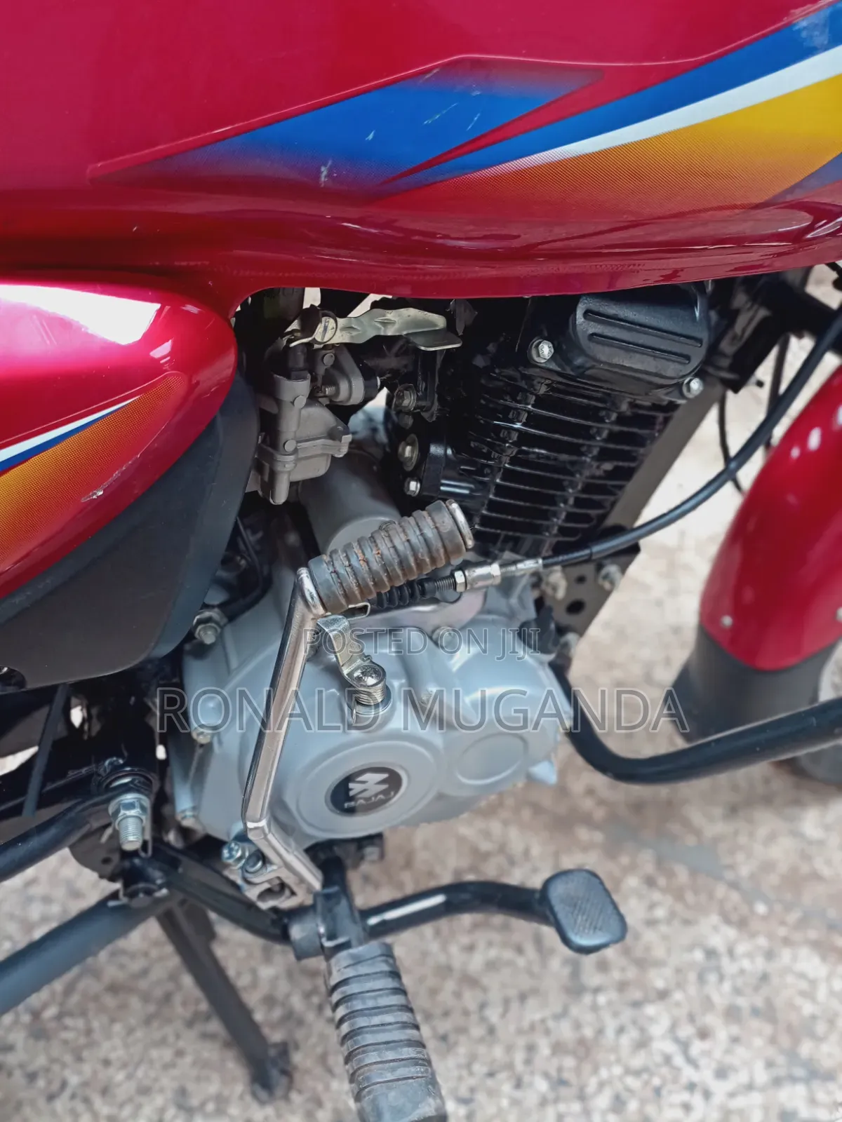 Bajaj CT 125X 2025 Red
