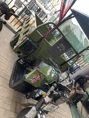 New Tricycle 2025 Green