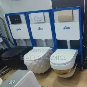 Colored Concealed Toilets