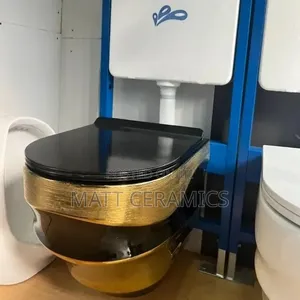 Black and Gold Concealed Toilet